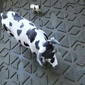 Cow Rubber Sheets